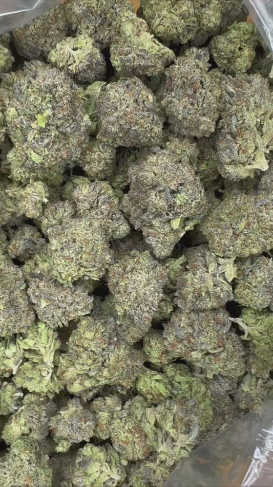 THCA -Kush Mints -AA EXOTIC- 29.38% HYBRID-CLICK FOR VIDEOS